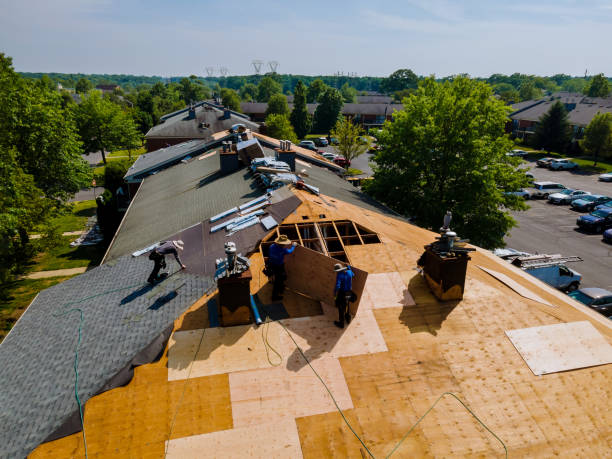 Best Commercial Roof Installation  in Paden City, WV