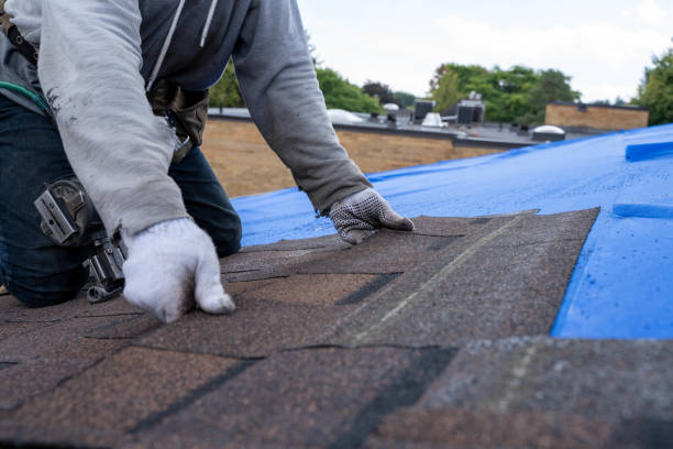 Best Flat Roof Repair Services  in Paden City, WV