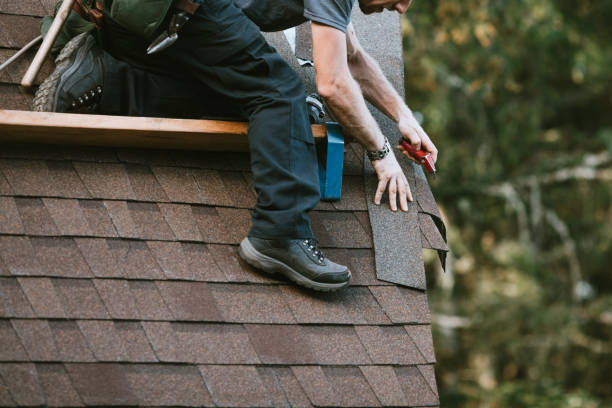 Best Roof Repair Services  in Paden City, WV